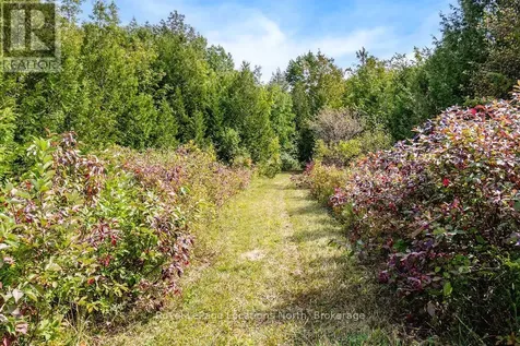 429540 8th B Corners Grey Highlands ON N0C 1M0