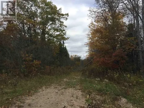 Lot 2 & 3 Con Nelson Drive St. Joseph Island ON P0R 1G0