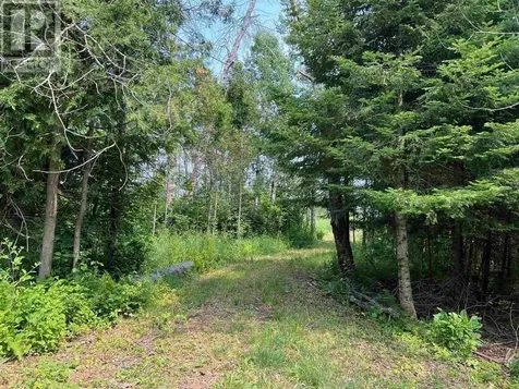 Lot 2 & 3 Con Nelson Drive St. Joseph Island ON P0R 1G0
