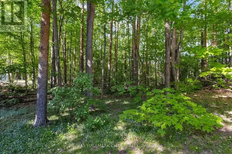 3724 Whitecap Drive Innisfil ON L9S 2L4