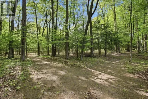 16902 Mccowan Road Whitchurch-stouffville ON L4A 2A5