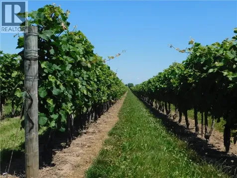 3705 Service Road North Beamsville ON L3J 1J3