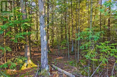 30 Huron Park Road Northern Bruce Peninsula ON N0H 1W0