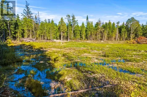 30 Huron Park Road Northern Bruce Peninsula ON N0H 1W0