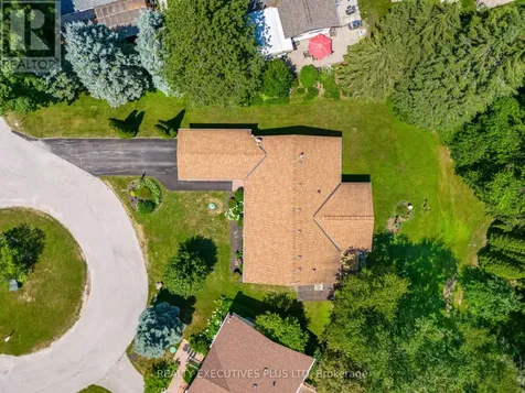 3 Pineview Court New Tecumseth ON L0G 1W0