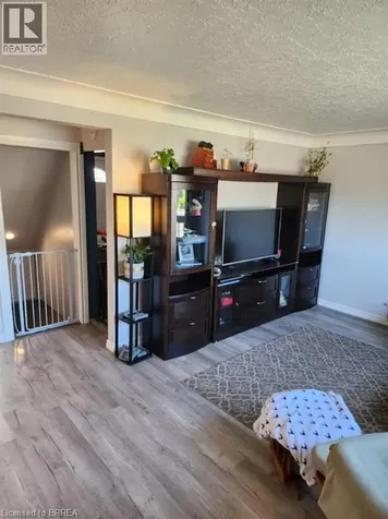 86 North Park Street Brantford ON N3R 4K1