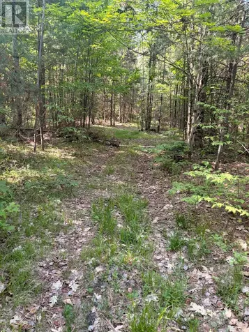 254 County Road 620 North Kawartha ON K0L 1A0