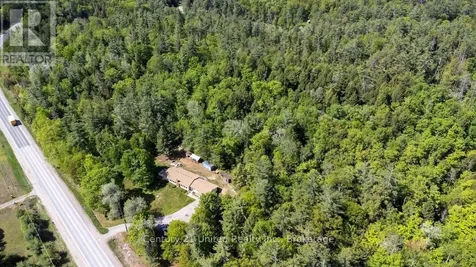 254 County Road 620 North Kawartha ON K0L 1A0