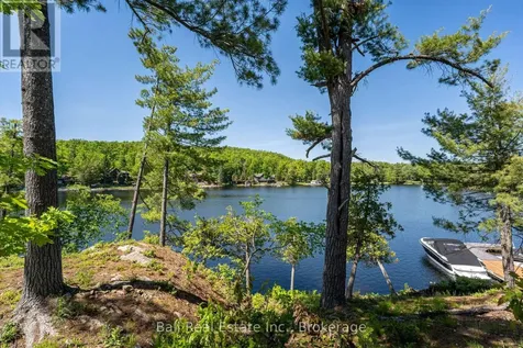 85 Hillcrest Road North Kawartha ON K0L 3E0