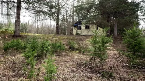 3606 County Road 620 North Kawartha ON K0L 1A0
