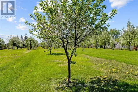 2263 Highway 2 Clarington ON L1C 3K7