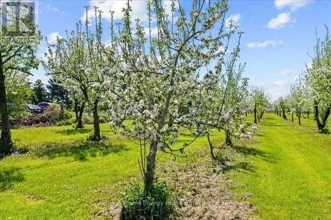 2263 Highway 2 Clarington ON L1C 3K7