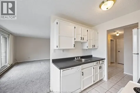 3936 Wyandotte Street East Windsor ON N8Y 4V1