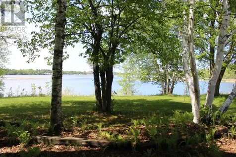 85 Jenkins Drive Rainy River ON P0W 1L0