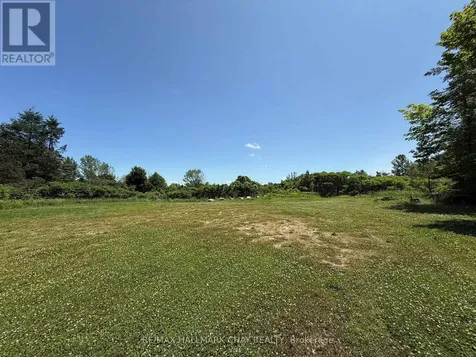 LT9 Concession 15 Road East Tiny ON L4M 0N6