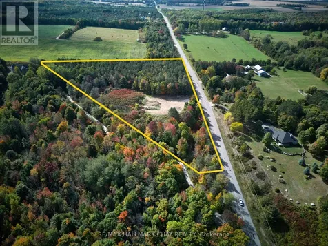 LT9 Concession 15 Road East Tiny ON L4M 0N6
