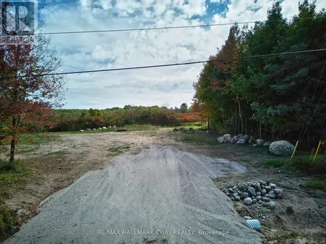 LT9 Concession 15 Road East Tiny ON L4M 0N6