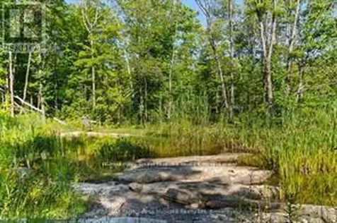 288 Rankin Lake Road Seguin ON P2A 2W8