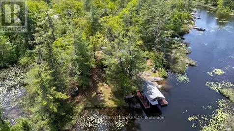 224 Fire Route 79 Trent Lakes ON K0L 1J0