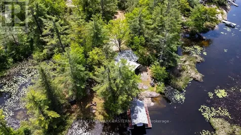 224 Fire Route 79 Trent Lakes ON K0L 1J0