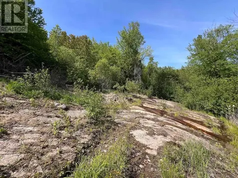 39132 Combermere Road Madawaska Valley ON K0J 1L0