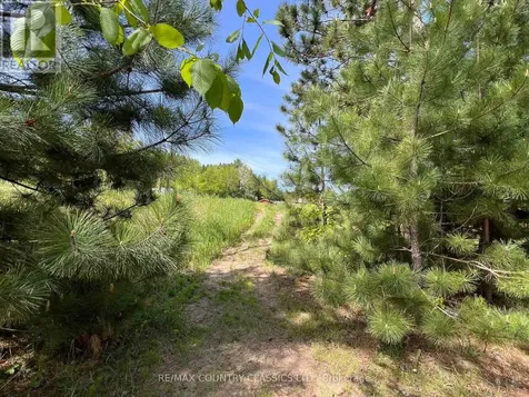 39132 Combermere Road Madawaska Valley ON K0J 1L0
