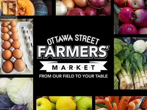 42 Dalhousie Avenue Hamilton ON L8L 3J5