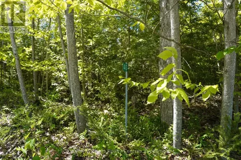 40 Old Red Bay Road South Bruce Peninsula ON N0H 2T0
