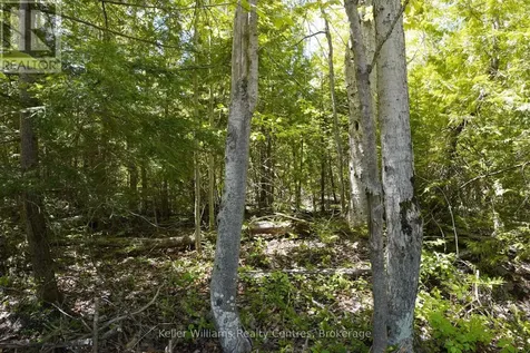 40 Old Red Bay Road South Bruce Peninsula ON N0H 2T0