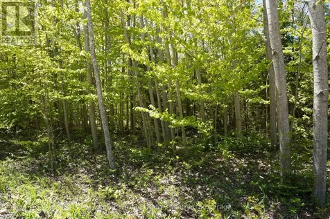 40 Old Red Bay Road South Bruce Peninsula ON N0H 2T0