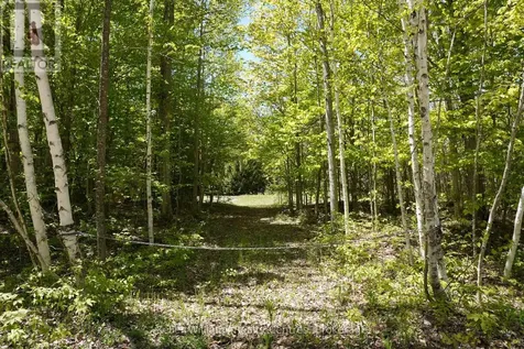 40 Old Red Bay Road South Bruce Peninsula ON N0H 2T0