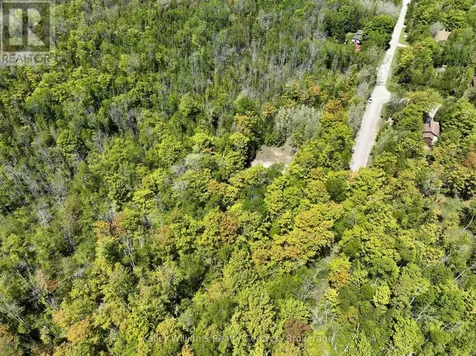 40 Old Red Bay Road South Bruce Peninsula ON N0H 2T0