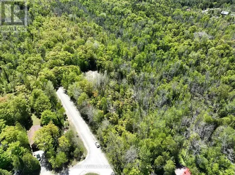 40 Old Red Bay Road South Bruce Peninsula ON N0H 2T0