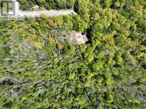 40 Old Red Bay Road South Bruce Peninsula ON N0H 2T0