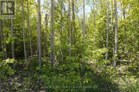 40 Old Red Bay Road South Bruce Peninsula ON N0H 2T0