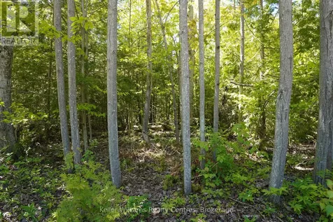 40 Old Red Bay Road South Bruce Peninsula ON N0H 2T0