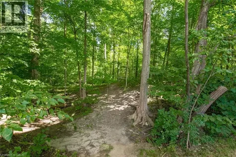 50 Bryan Court Kitchener ON N2A 4N4