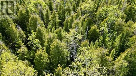 Part 71 Libby Street Northern Bruce Peninsula ON N0H 1W0