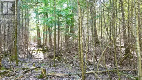 Part 71 Libby Street Northern Bruce Peninsula ON N0H 1W0