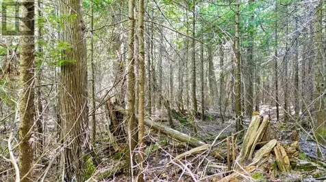 Part 71 Libby Street Northern Bruce Peninsula ON N0H 1W0