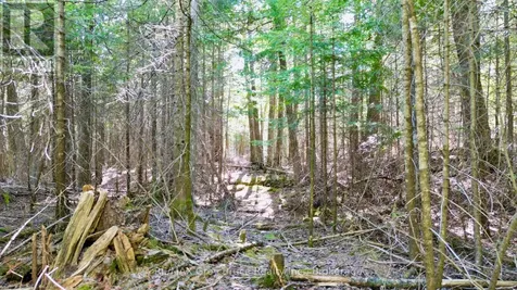 Part 71 Libby Street Northern Bruce Peninsula ON N0H 1W0