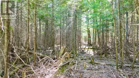 Part 71 Libby Street Northern Bruce Peninsula ON N0H 1W0