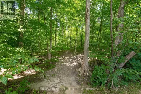 50 Bryan Court Kitchener ON N2A 4N4