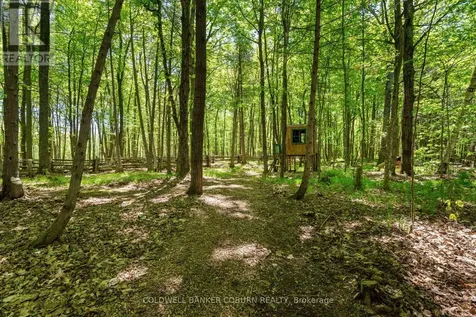 397 Burchill Road Montague ON K0G 1N0