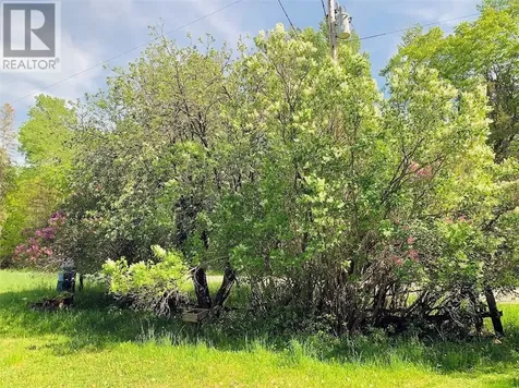 454 Mordan Noakes Road Evansville ON P0P 1E0