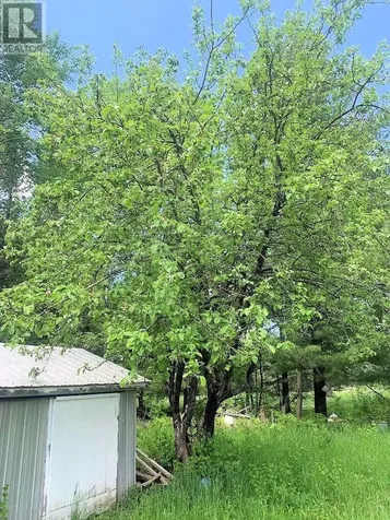 454 Mordan Noakes Road Evansville ON P0P 1E0