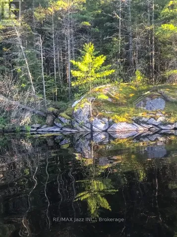 1314 Shebeshekong Road Parry Sound ON P0G 1G0