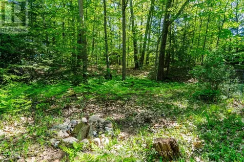 208 Desroches Trail Tiny ON L9M 0H9