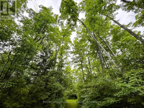 545413 4a Sideroad North Grey Highlands ON N0C 1H0