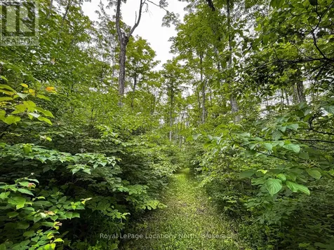 545413 4a Sideroad North Grey Highlands ON N0C 1H0